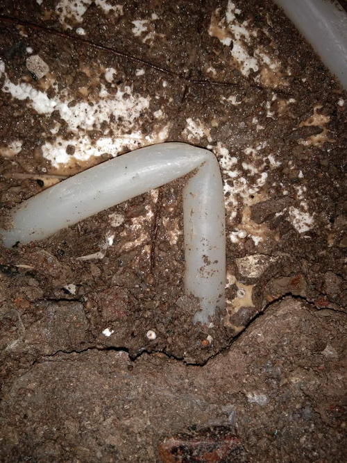 广宁堵点精准查找